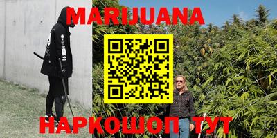 стафф Кингисепп