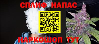 стафф Кингисепп