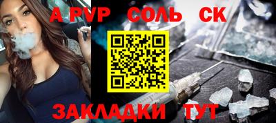 стафф Кингисепп