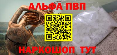 стафф Кингисепп