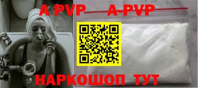 стафф Кингисепп